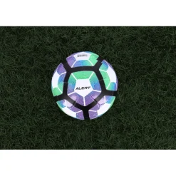 Alert Sport Voetbal Maat 5 Assorti 380g