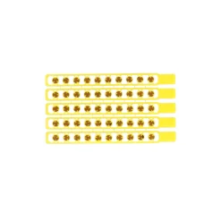 Amorces Strip 100 Schots Op Blister