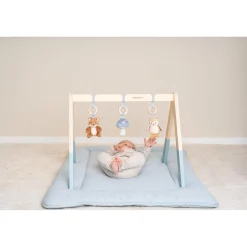 Babygym Forest Friends Fsc
