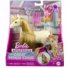 Barbie Family Horse chase pony met accesoires