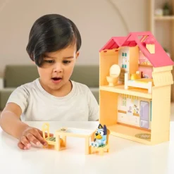 Bluey mini huis