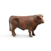 Bruder Stier