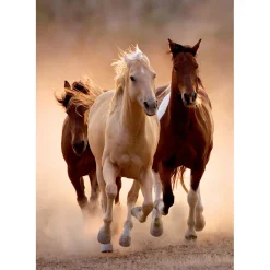 Clementoni Puzzel 1000 stuks rennende paarden  compact
