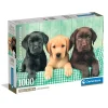 Clementoni Puzzel 1000 stuks Labrador pubs 3 kleuren compact