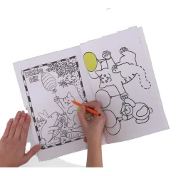 Dikkie Dik Kleurboek