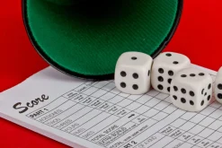 Dobbelset Spel Compleet met 5 Dobbelstenen Dobbelbeker en Scoreblok op Blister