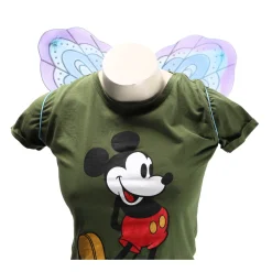 Feeën vleugels 2 assorti