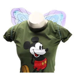 Feeën vleugels 2 assorti