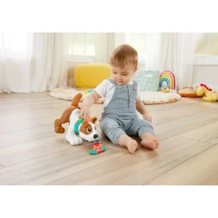 Fisher Price 123 Crawl With Me Puppy Nl