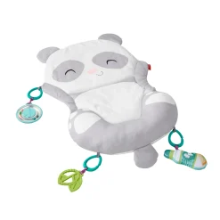 Fisher Price Alles In Een Pandaspeelmat