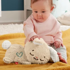 Fisher Price Soothe And Settle Bunny