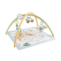 Fisher Price symply senses gym