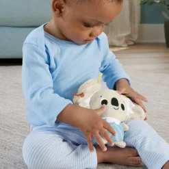 Fisher Price symply senses gym