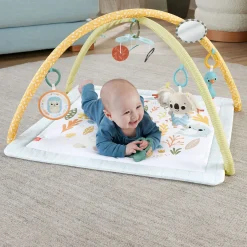 Fisher Price symply senses gym