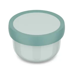 Fruitbox campus 300 ml - cool mint