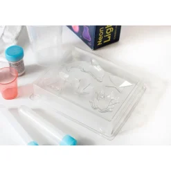 Fun Science Neon Glow Lights