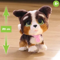 Furreal walk a lots Bernedoodle