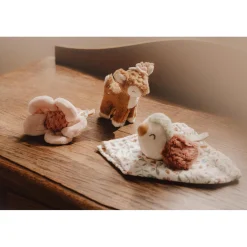 Giftset Knuffels Fairy Garden