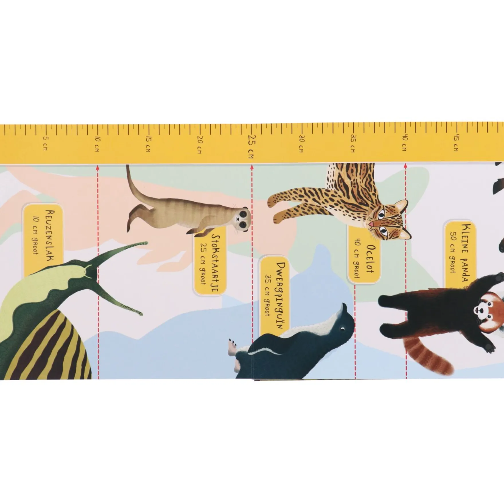 Groeimeter Ben Jij Groter Dan Een Tijger?