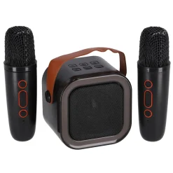 Karaoke duo set 2 micro's + speaker 13x8x14 cm