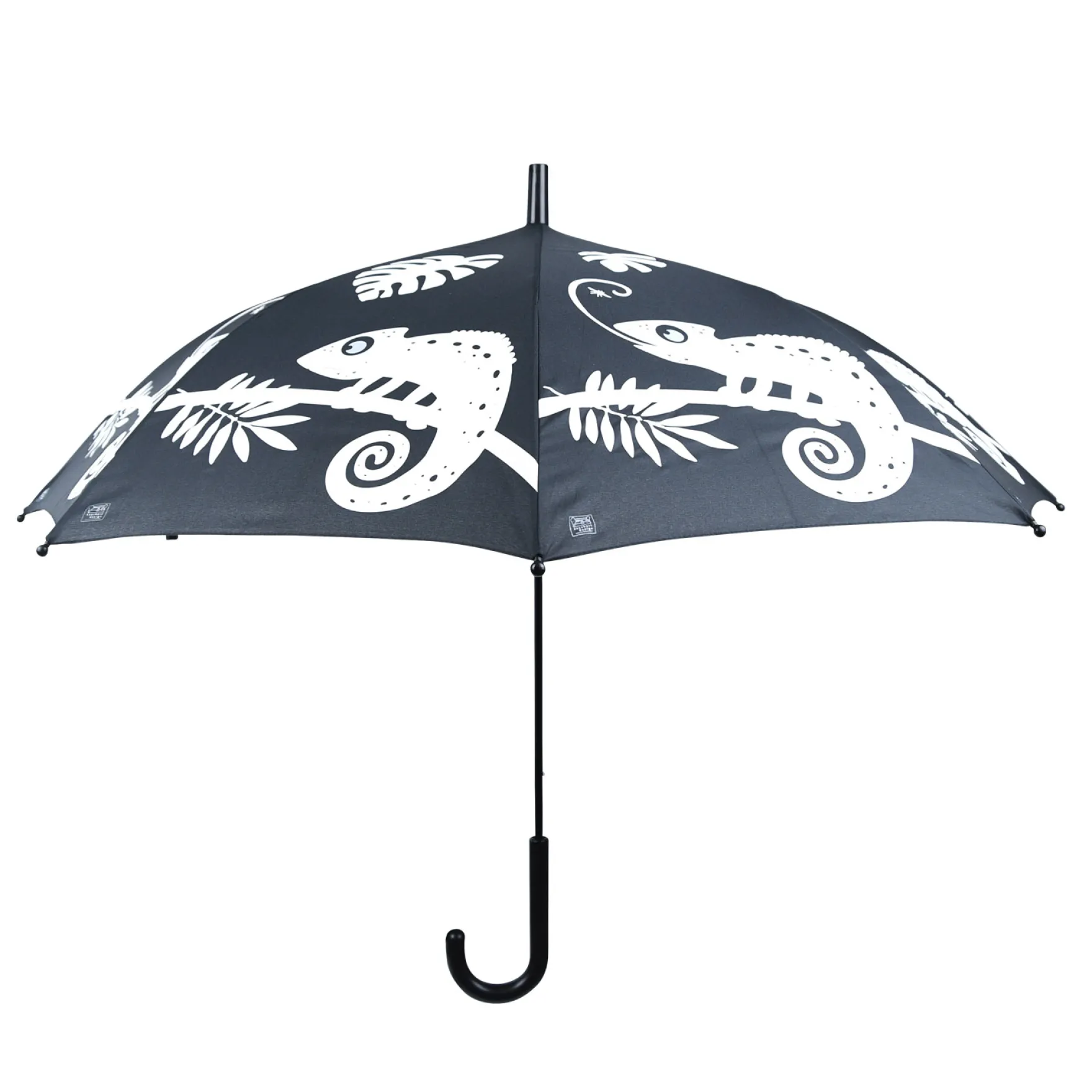 Kleur veranderende paraplu kameleon