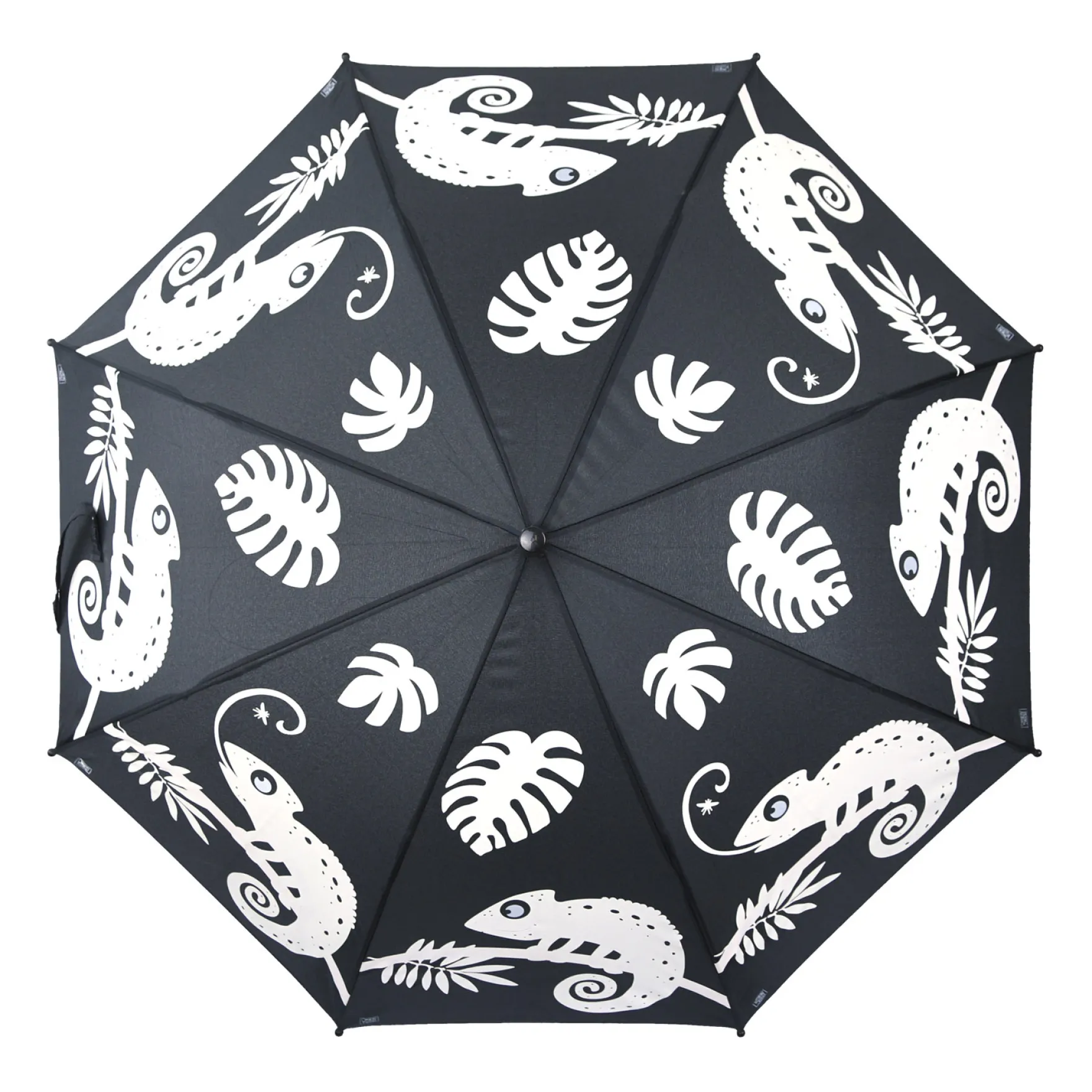 Kleur veranderende paraplu kameleon