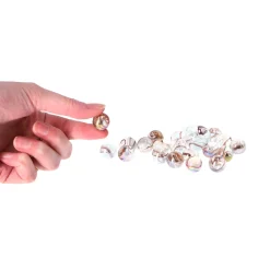 Knikkers 20 +1 4 Assorti