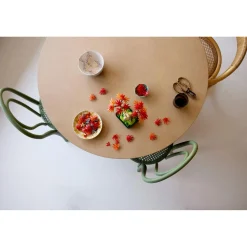 LEGO 10348 Botanicals Japanse esdoorn bonsaiboompje