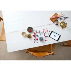 LEGO 10369 Icons Japanse abrikoos