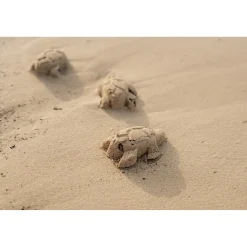 Little Dutch Strandset 3 Delig Sailors Bay