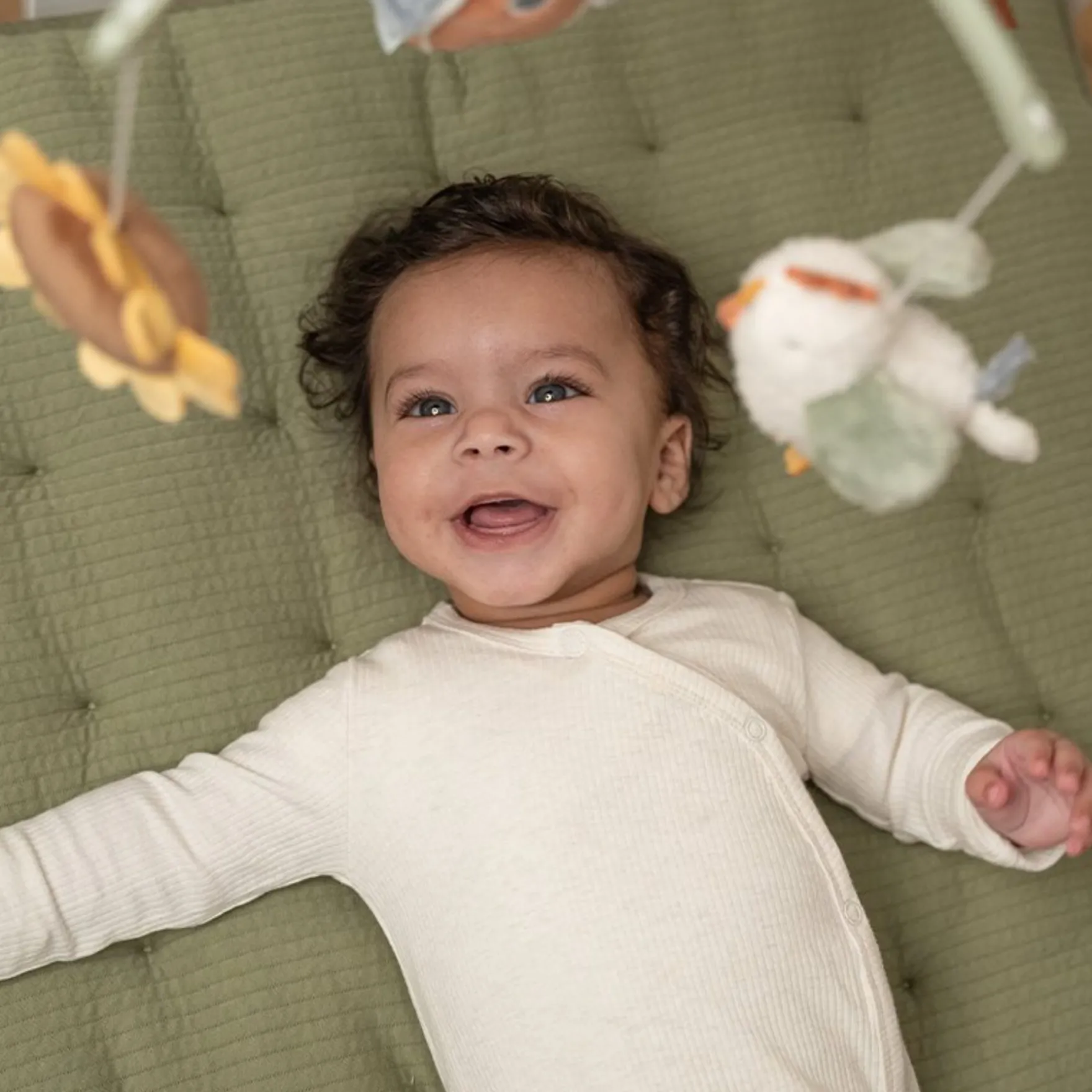 Little Farm Muziekmobiel