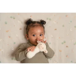 Little Farm Rammelaar Schaap