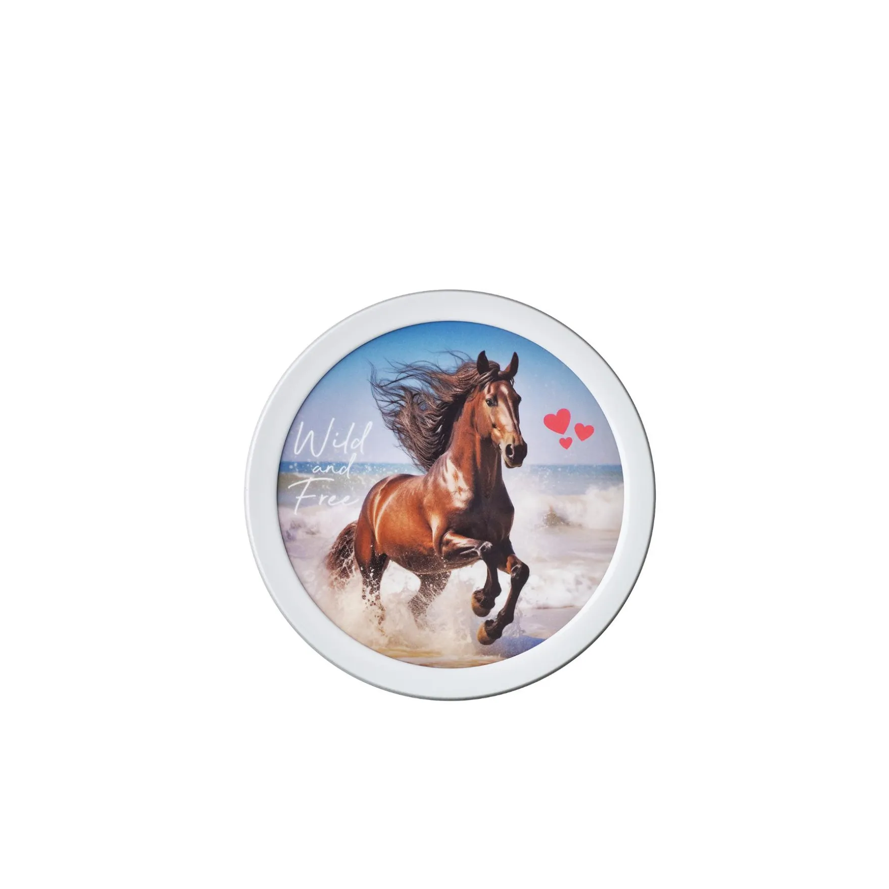 Mepal Campus Fruitbox 300 ml - wild horse