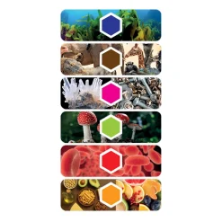 Microscoop digitaal Nederlands/Frans