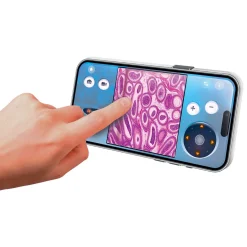 Microscoop digitaal Nederlands/Frans