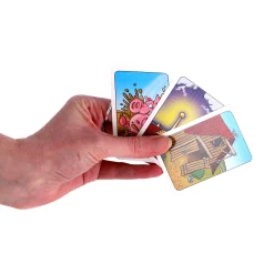 Moddervarkens - Kaartspel