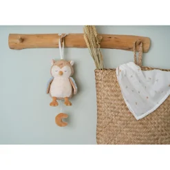 Muziekdoos Uil Forest Friends Grs