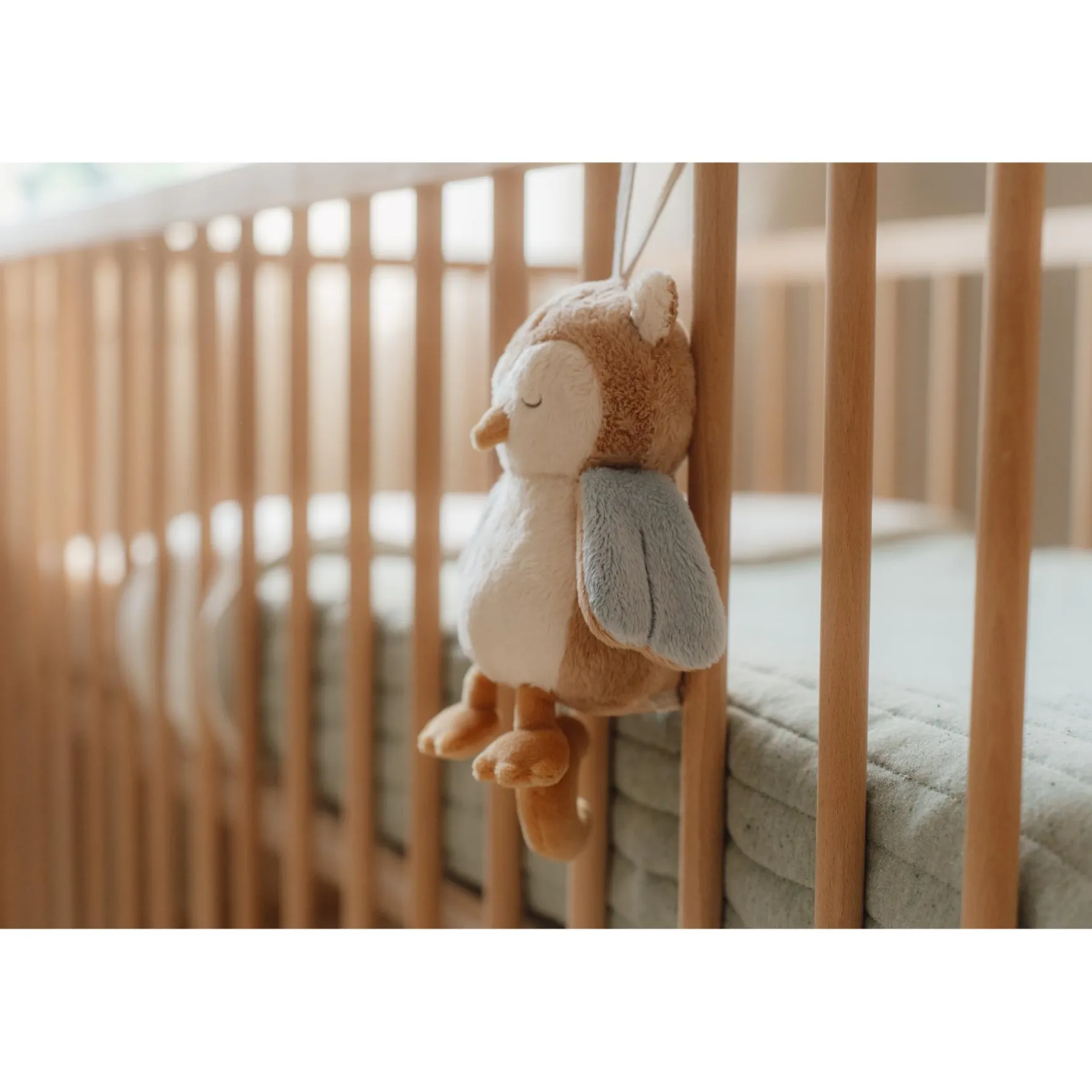 Muziekdoos Uil Forest Friends Grs