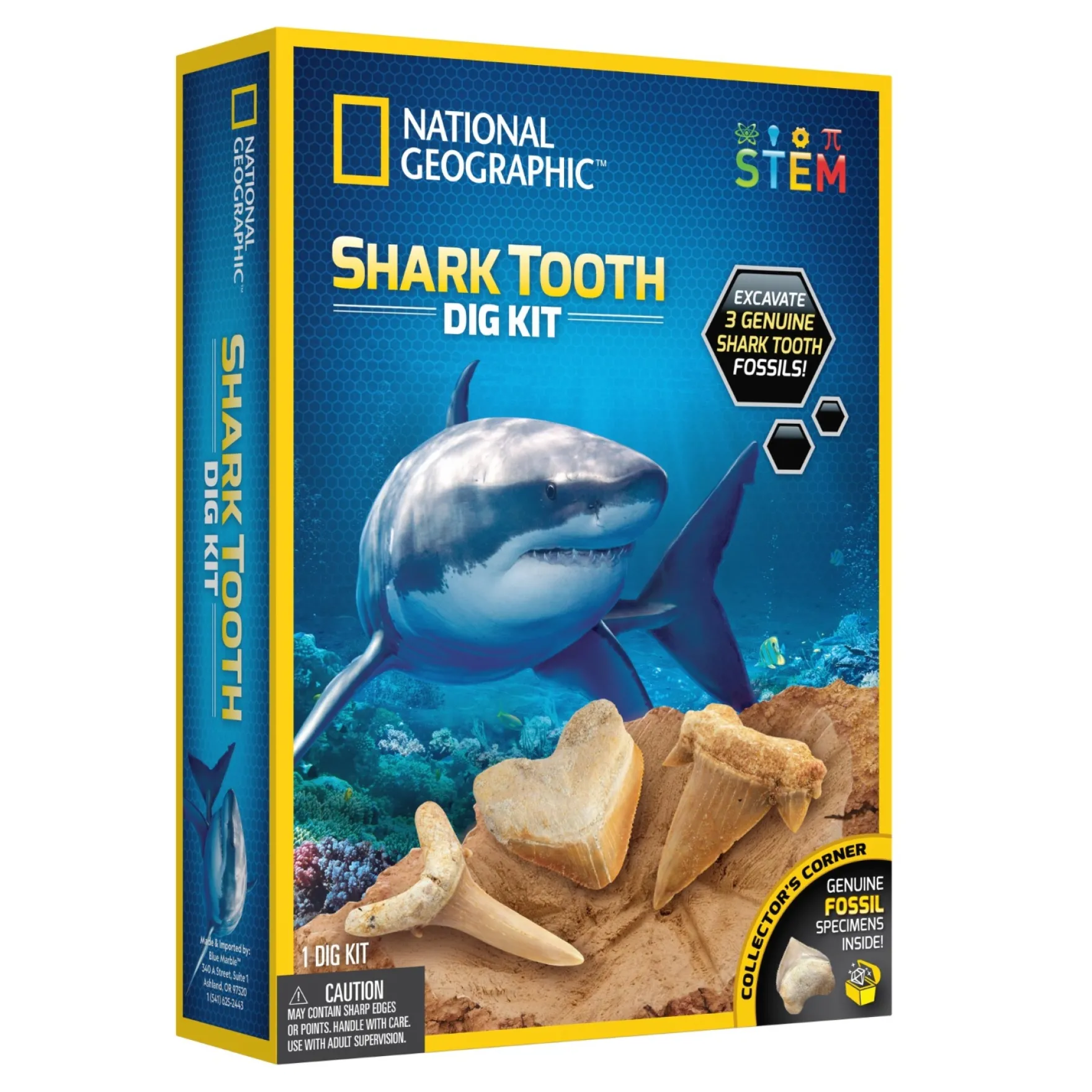 National Geographic Shark Tooth Dig Kit