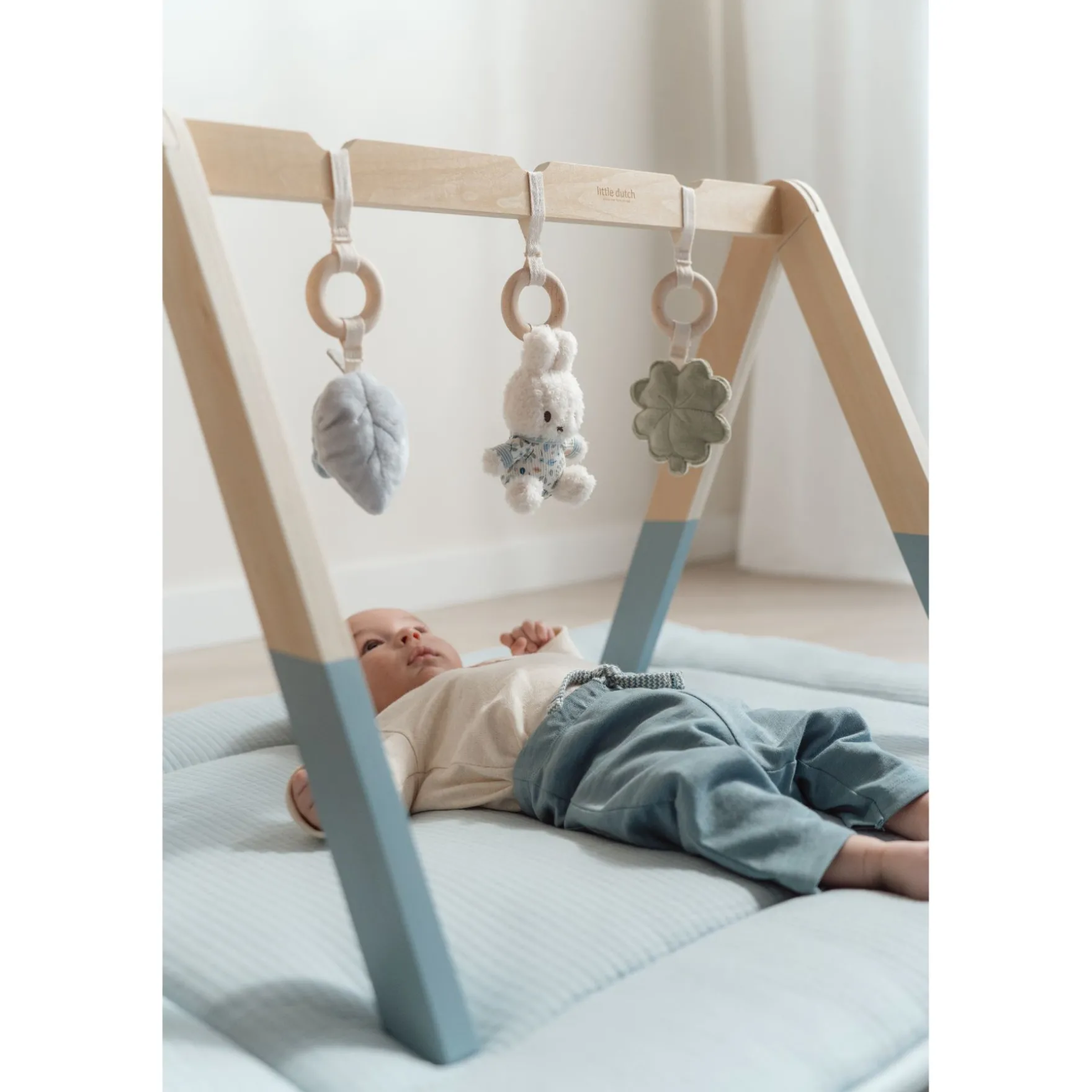 Nijntje Babygym Lucky Leaves