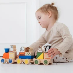 Nijntje Blokkentrein