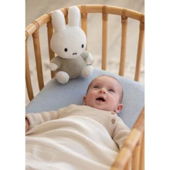 Nijntje Knuffel 25cm Fluffy Green