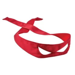 Ninja Turtles Raphael Transforming  Sai