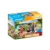 Playmobil 71427 Family Barbecue