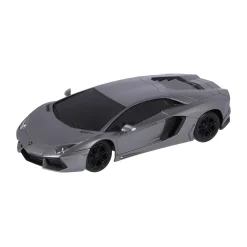 Radiografisch Bestuurbare Auto 10 Assorti 1:24