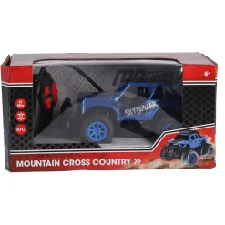 Radiografisch Bestuurbare Buggy Schaal 1:22  2 Assorti