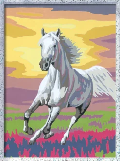 Ravensburger Creart schilderen op nummer paard   bij zonsondergang