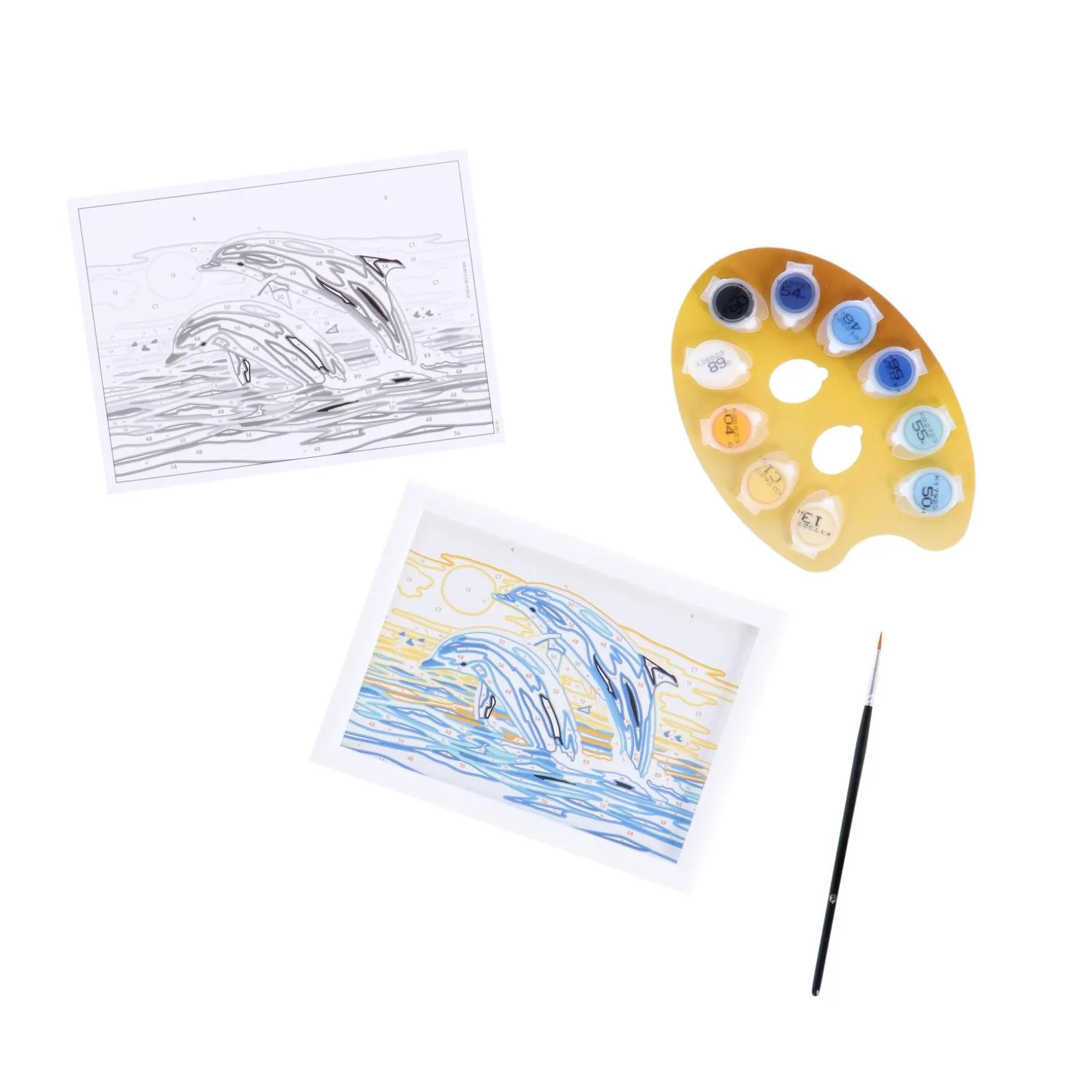 Ravensburger Creart Schilderen op nummer springende dolfijnen