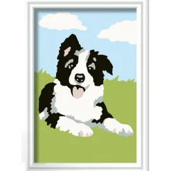 Ravensburger Creart schilderen op nummer border  collie