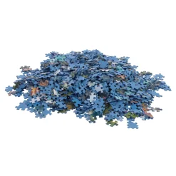 Ravensburger puzzel 